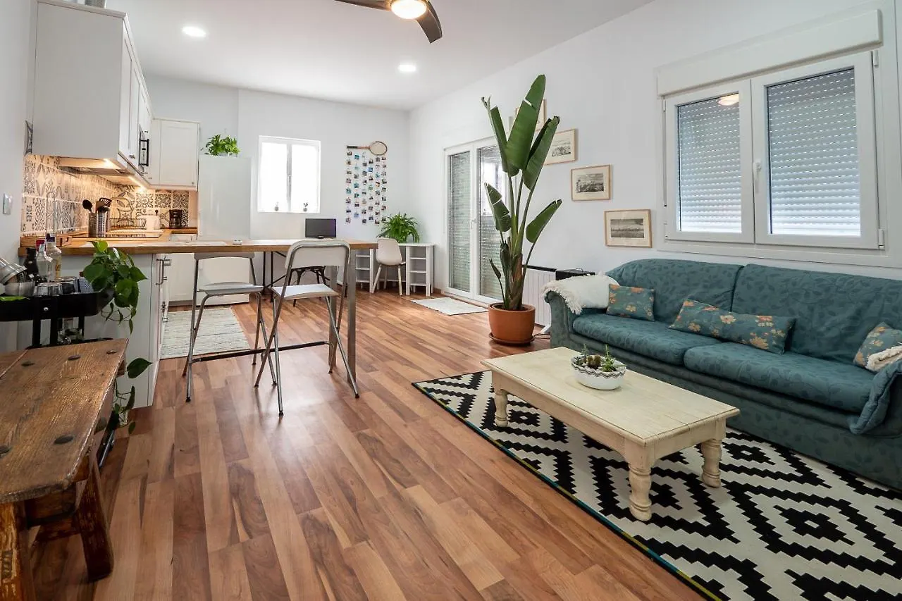 Atico Del Vigia Apartment Cadiz